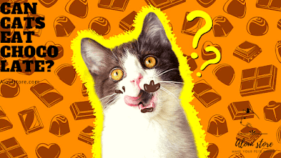 8 dangerous foods for cats