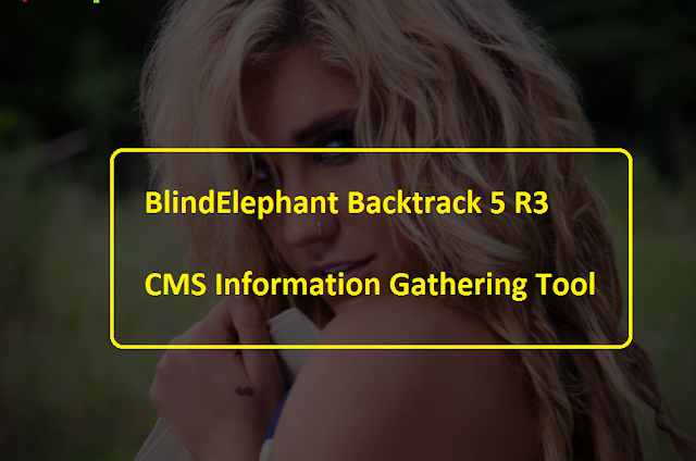 BlindElephant - Web Application and Plugins Identification Tool | CMS Information Gathering