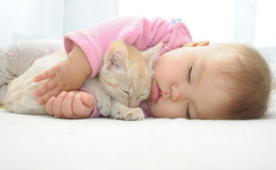 Democrats fight for kittens’ right to life after voting to kill born-alive babies