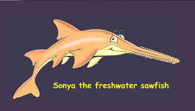 The story of Sonya the Sawfish