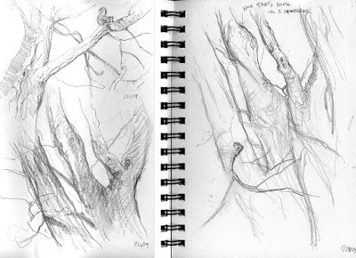 tree sketches