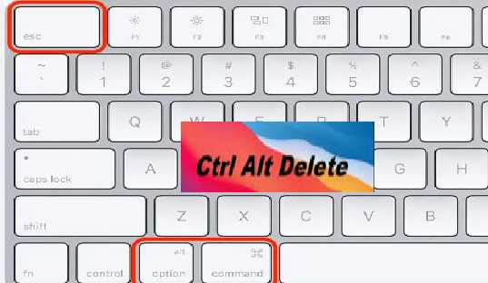 How to Control Alt Delete on Mac?