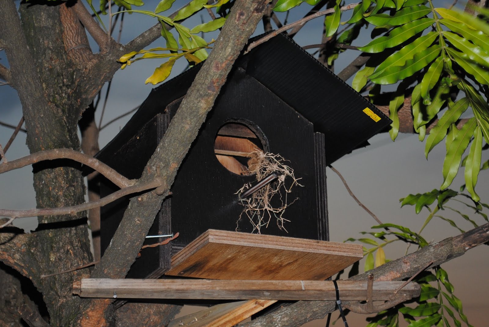 DESTINASI HIDUPKU: Rumah Burung FOR ONE