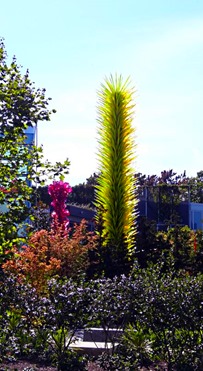 DSC06513b