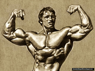 Arnold Schwarzenegger Bodybuilding Wallpaper Karikatür Duvar Kagitlari *Kasli Erkek Resimleri, Kasli Erkekler Karikatür, Arnold Schwarzenegger, HD Duvar Kagitlari, HD Kasli Erkek Fotograflari, *Kasli Bodybuilding, Vucut Gelistirmeci,