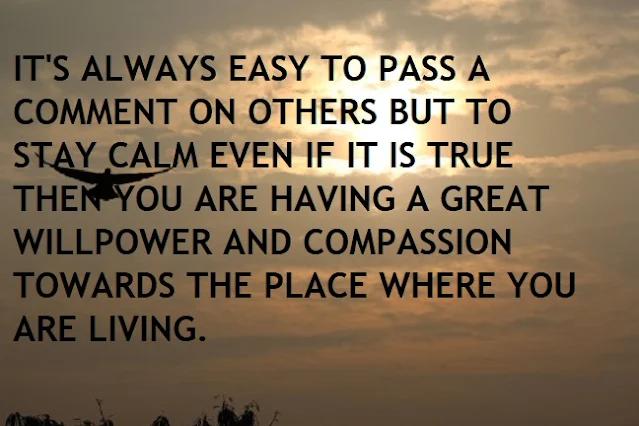 IT'S ALWAYS EASY TO PASS A COMMENT ON OTHERS BUT TO STAY CALM EVEN IF IT IS TRUE THEN YOU ARE HAVING A GREAT WILLPOWER AND COMPASSION TOWARDS THE PLACE WHERE YOU ARE LIVING.