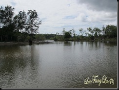 IMG_8679 copy