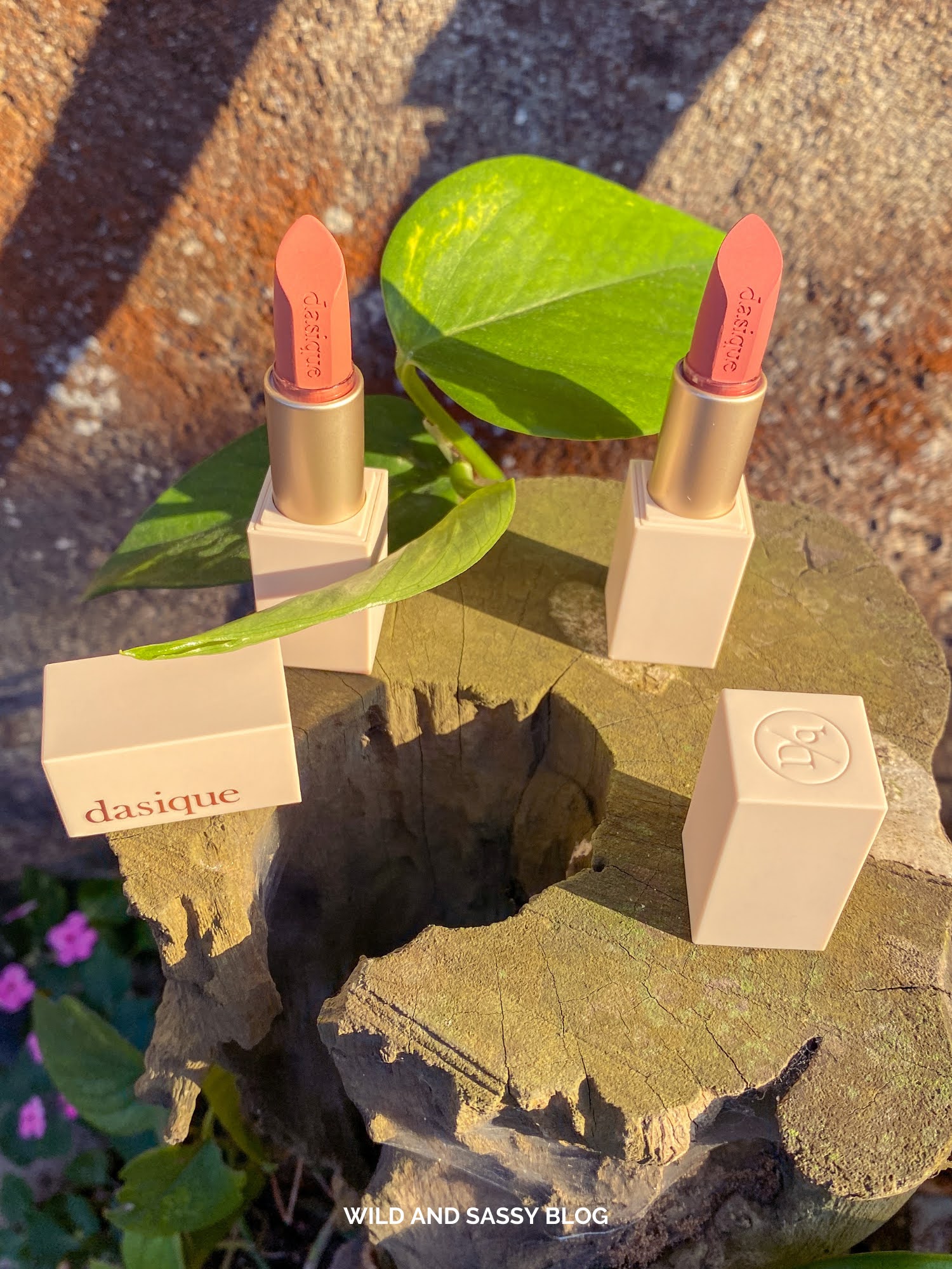 Dasique Soft Velvet Lipstick Swatches and Review