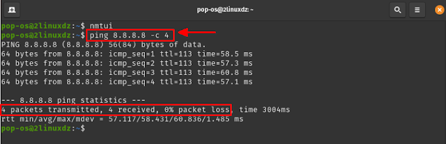 ping Google's DNS on the terminal