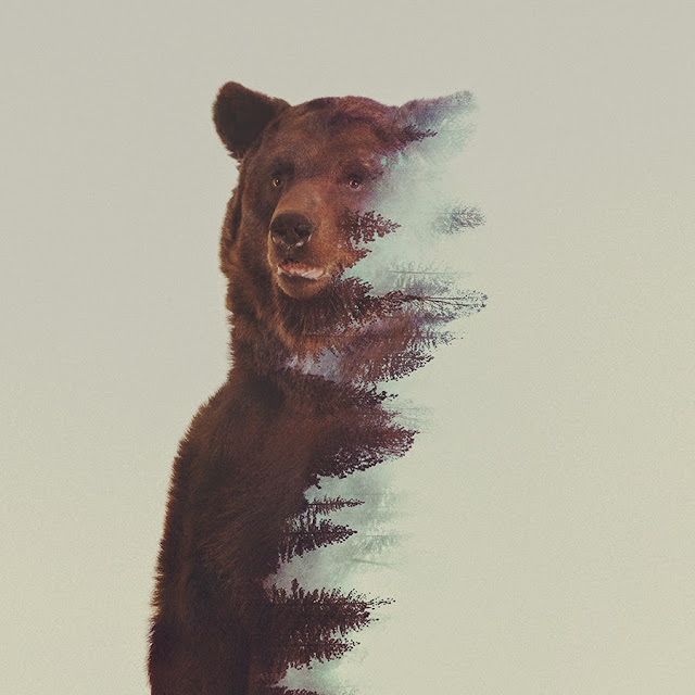 Andreas Lie Bear Double Exposure