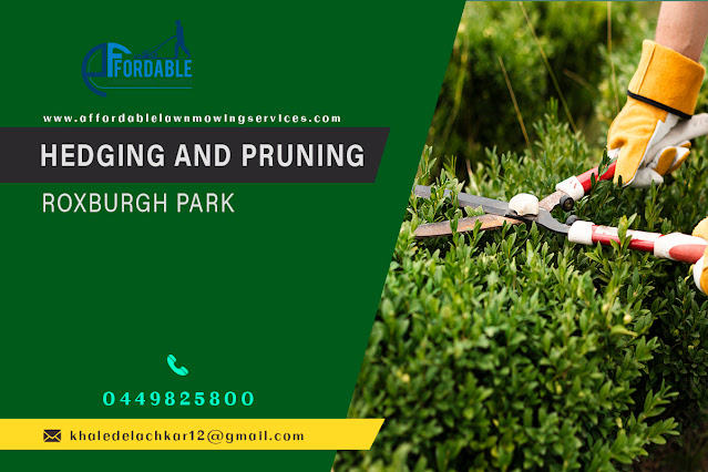 Hedging and pruning Roxburgh Park