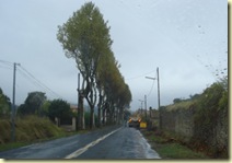 DSC09239