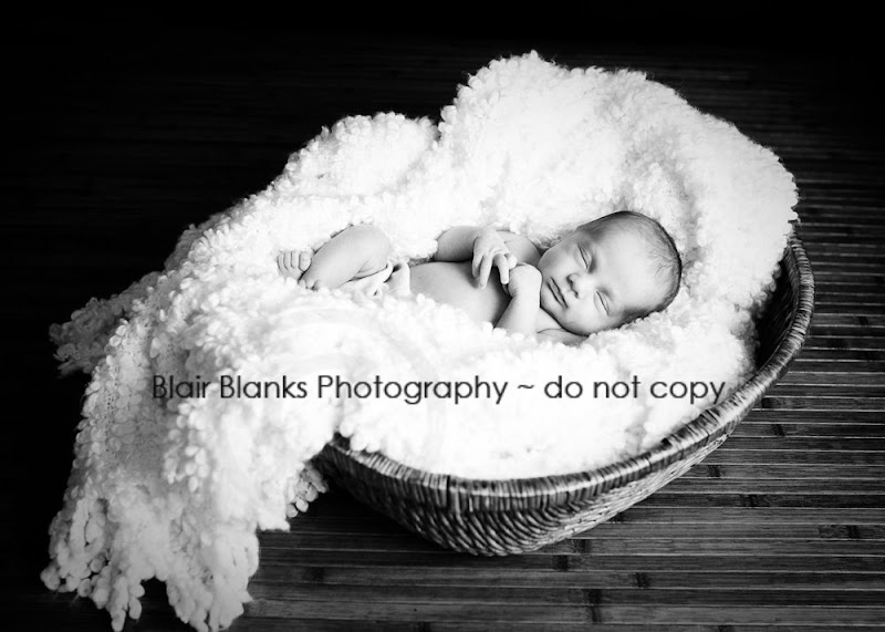 baby photographers in Maryland