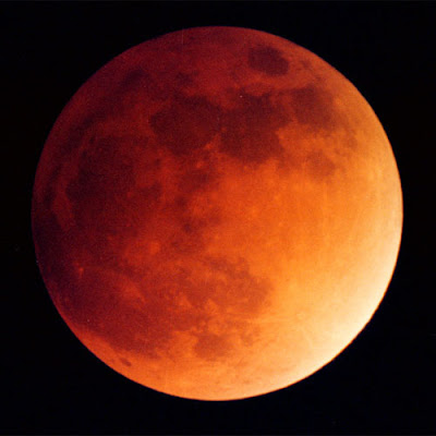 Linda foto de uma lua cheia e vermelha, tendo ao fundo um céu negro