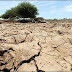 BARAHONA: La sequía también afecta la agricultura y ganadería