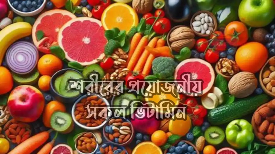 শরীরের-জন্য-প্রয়োজনীয়-ভিটামিন-ও-খনিজ
