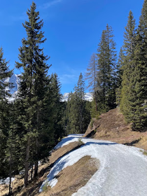 Passeggiata Malga Coltrondo