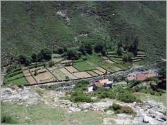 Curro da velha 141