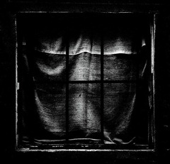 The Dark