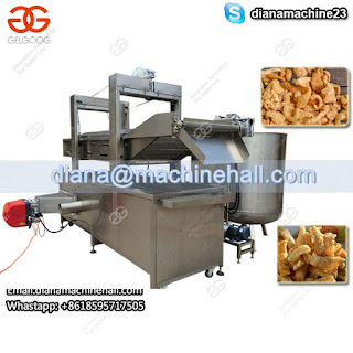 Pork Rinds Fryer