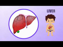 ciri-ciri penyakit liver pada anak