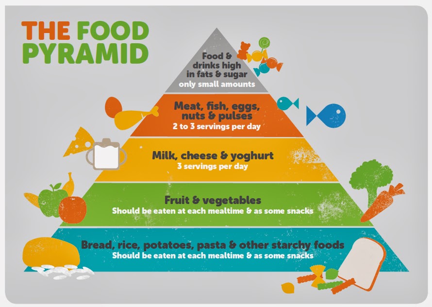 Printable Food Pyramid 2013 The food pyramid for toddlers