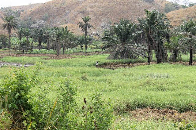 África nossa