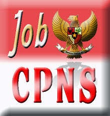 http://www.indonesianews.web.id/2014/08/lowongan-kerja-dan-software-cat-cpns.html