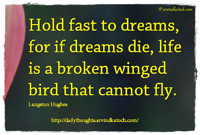 Motivational, Daily Thought Dreams, die, bird, fly 