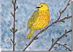 Yellow Warbler