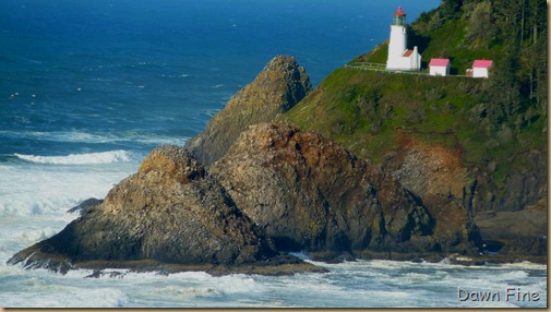 oregon coast drive_041