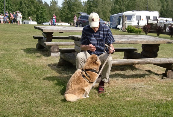 juni midsommer 2012014