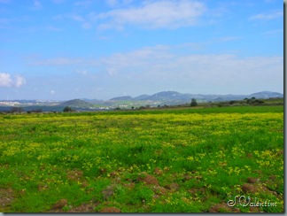 P1200099