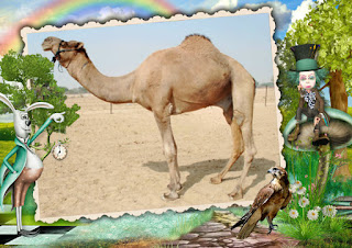 Jaisalmeri Camel