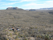 Mesa De Anguila