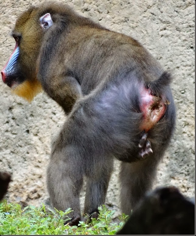 DSC01498c