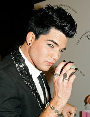 Here are some Cool Mens Hairstyles from Adam Lambert cool emo men haircuts: