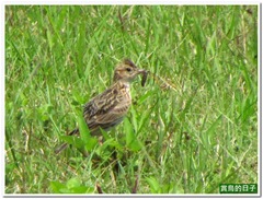 20120502_100334_072_Hualien