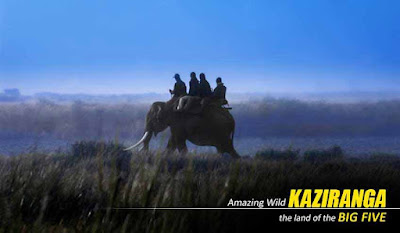 Kaziranga Jeep and Elephant Safari Tour Package from NatureWings