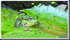 20140619_183000_078_BotanicalGarden