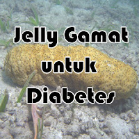 Jelly Gamat untuk Diabetes
