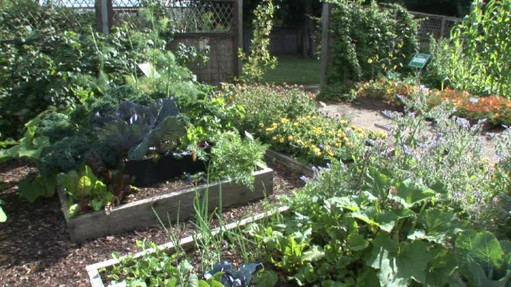 ..simple raised beds with a