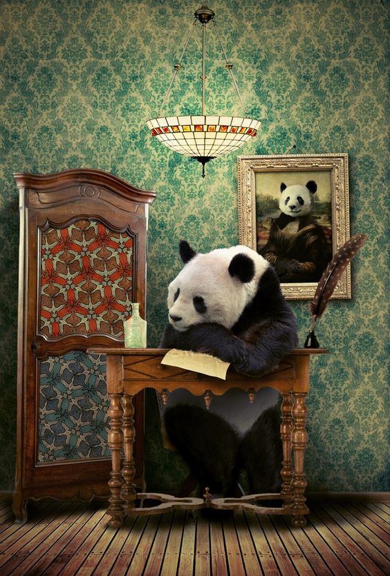 1000 Gambar Wallpaper  Panda  Keren 