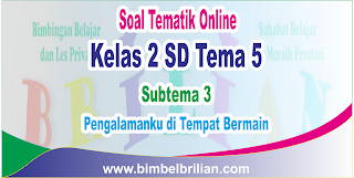  Pengalamanku di Tempat Bermain Langsung Ada Nilainya Soal Tematik Online Kelas 2 SD Tema 5 Subtema 3 Pengalamanku di Tempat Bermain Langsung Ada Nilainya