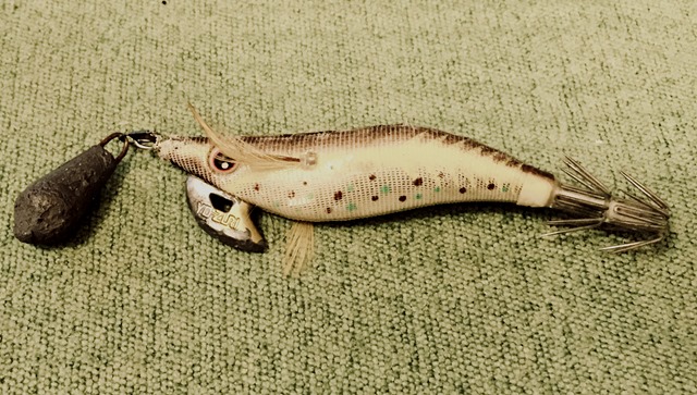 象と散歩 陸っぱりから ズル引き エギングでコウイカを狙う