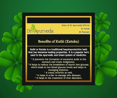 Benefits of Kutki by Dr Ayurveda