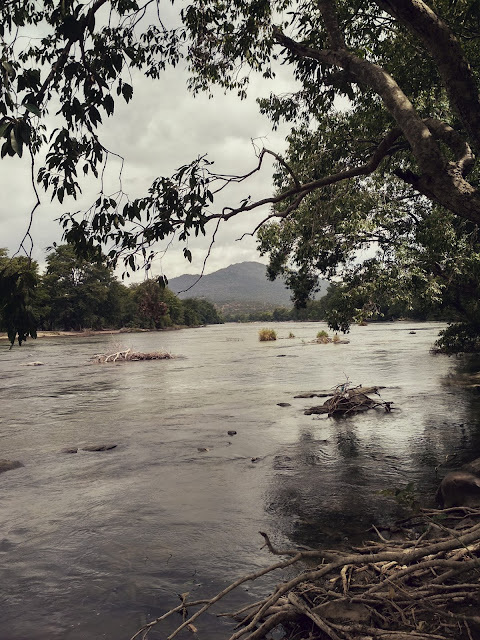 Cauvery Melagiri Hills Kenneth Anderson Eastern Ghats Western Ghats