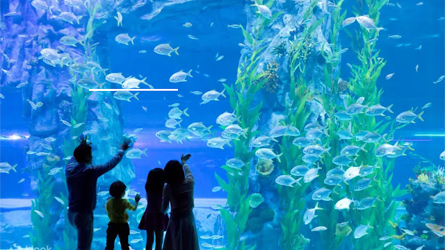 Lotte World Aquarium Ticket in Seoul