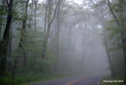 Back in the fog