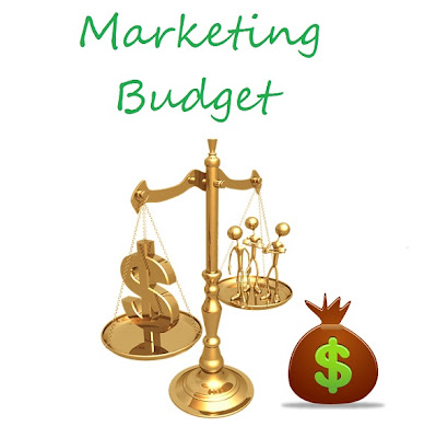 Marketing Budget for an Organization